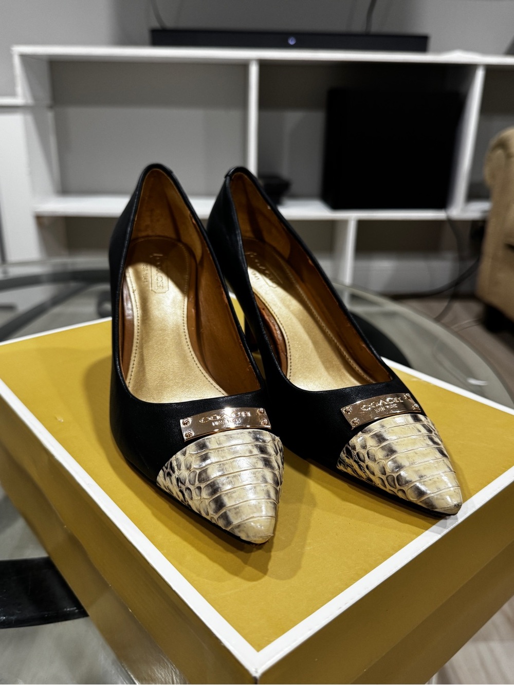 Coach Black Pumps with Metallic Snakeskin Pointed Toe